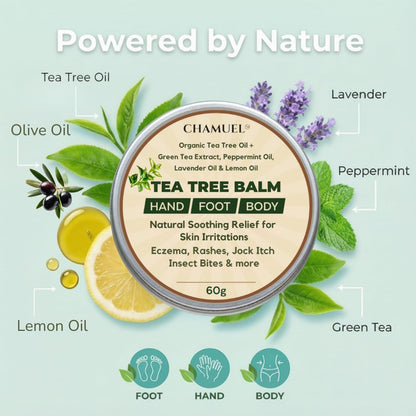 NAIA Fortress Tea Tree Balm jar with green label and white lid, showcasing the herbal skincare product on a white background.