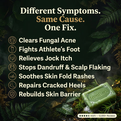NAIA Ironbark Antifungal Soap Bar with natural ingredients, highlighting skin health and fungal prevention benefits.