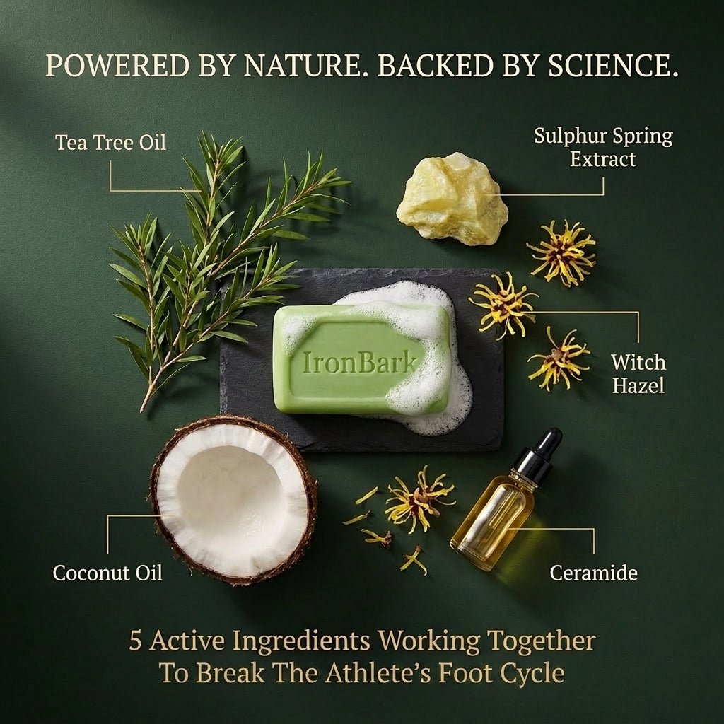 IronBark Tea Tree Antifungal Bar – Clears Athlete's Foot From the Root and Stops It Coming Back