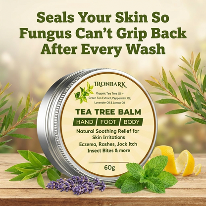 NAIA Fortress Tea Tree Balm container with balm visible, showcasing the natural, healing tea tree product for skin care.